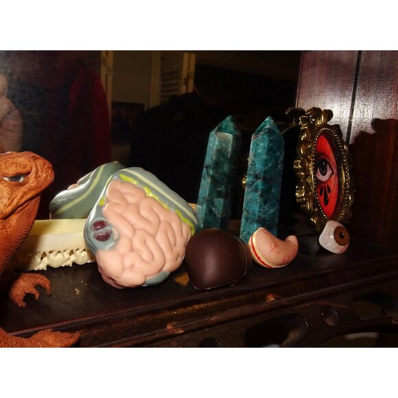 Vintage Plastic Human Organ Miniatures liver kidney intestines oddity curiosity - Picture 4 of 10